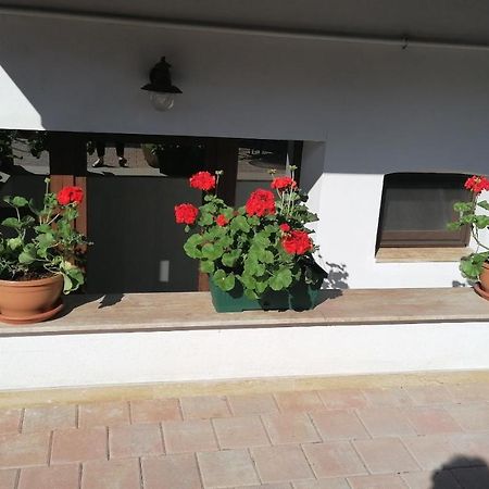 Ana Boutique Bed & Breakfast Алба Юлия Екстериор снимка