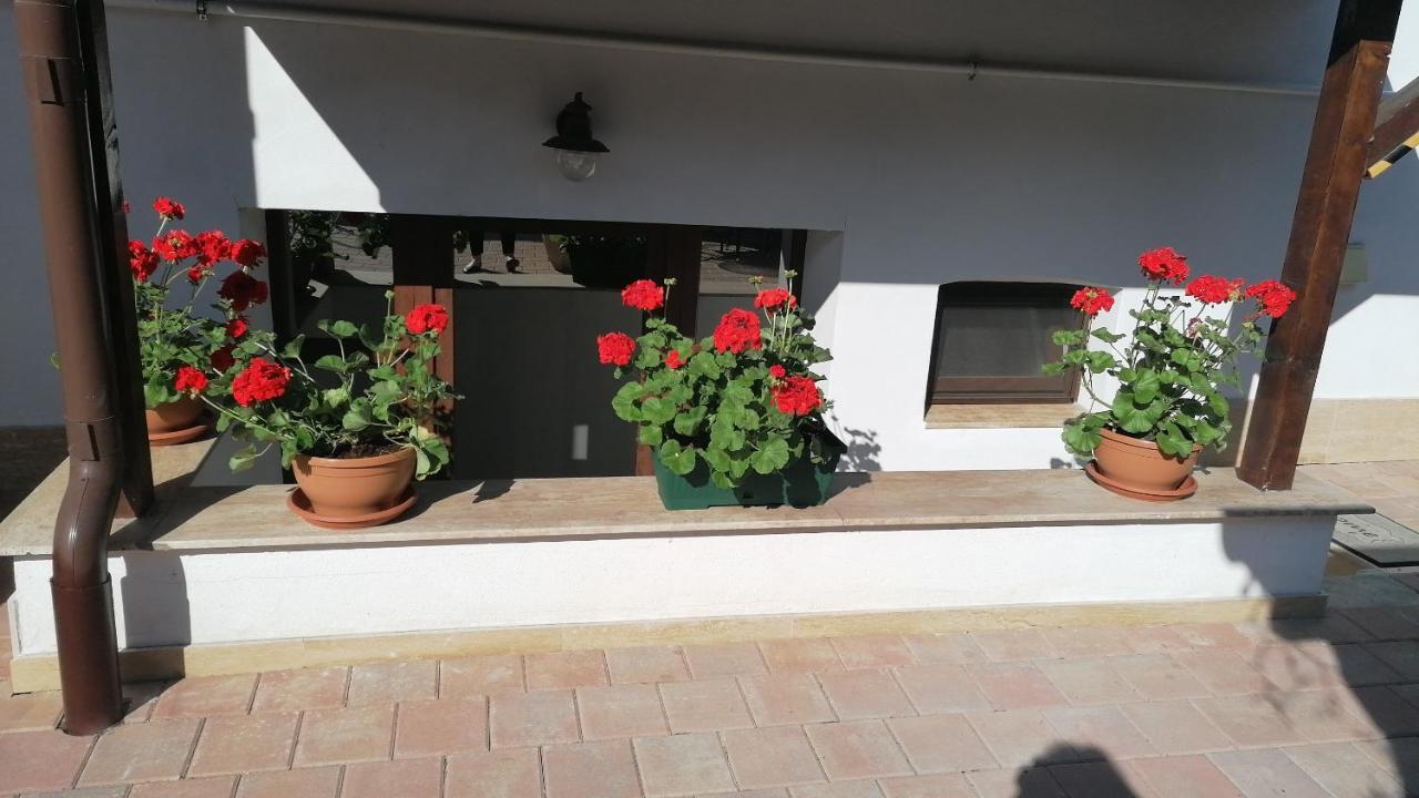 Ana Boutique Bed & Breakfast Алба Юлия Екстериор снимка